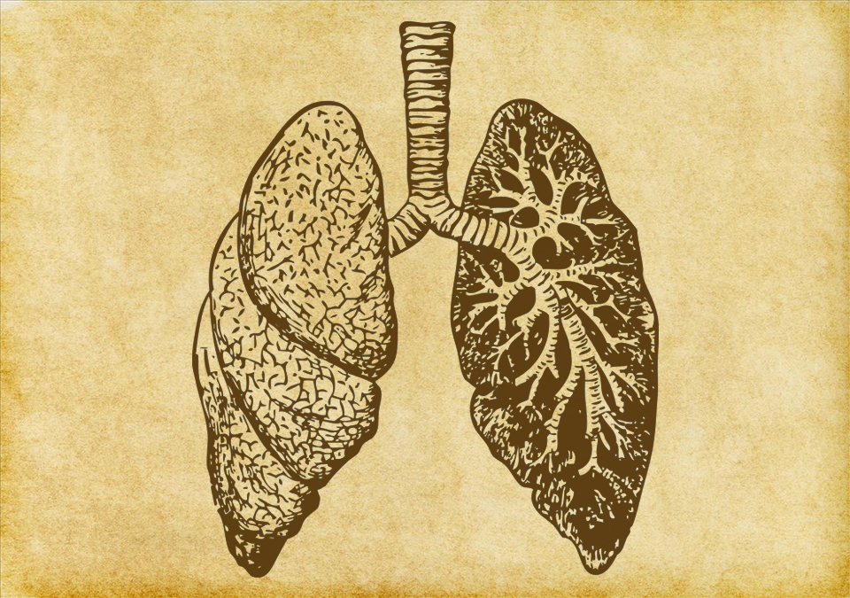 COPD – What is it and Why should you care?